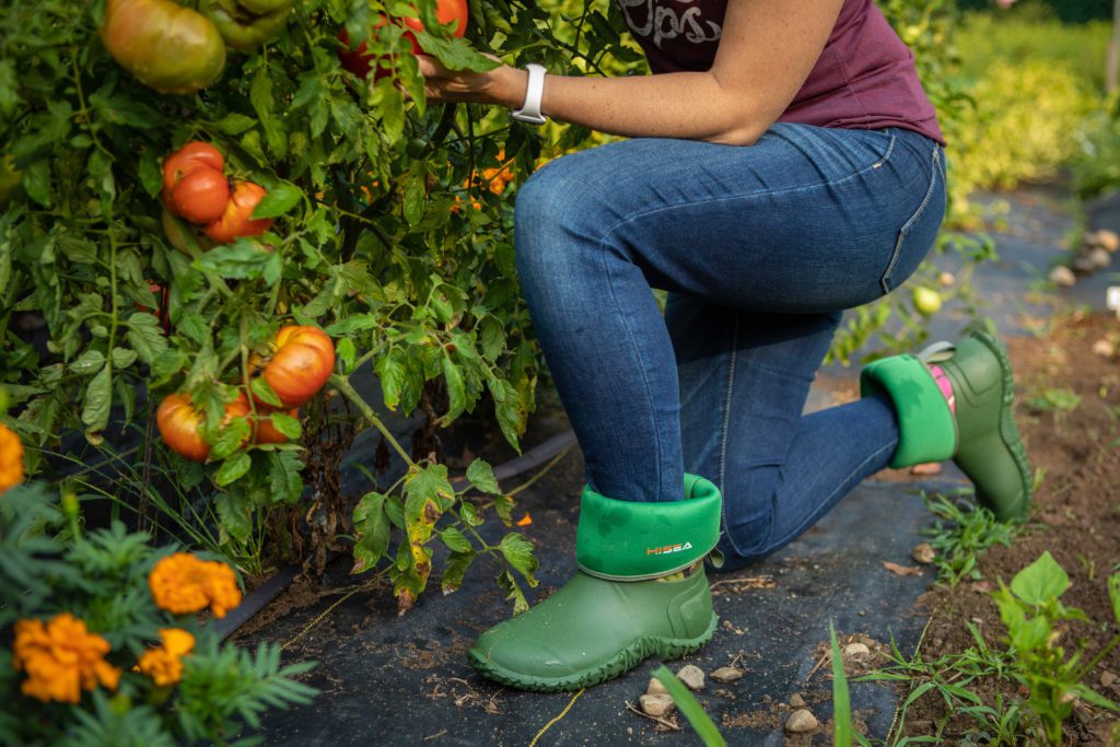 how-to-water-houseplants-while-on-vacation-self-watering-planters