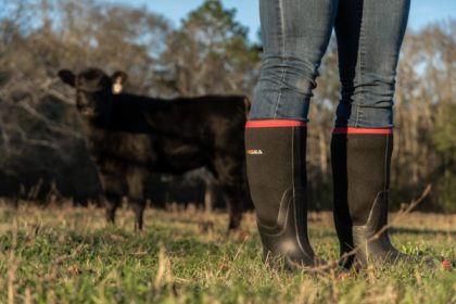 a women wearing a pair of HISEA rain boots, standing back is a black cow